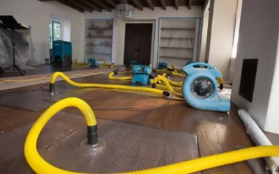 Assèchement dans les Vosges : techniques innovantes pour contrer l’humidité en altitude et préserver vos biens