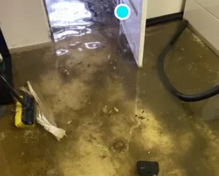 Nettoyage après dégâts des eaux dans le Grand-Est : réduire les coûts d’assurance grâce à une intervention express