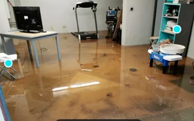 Dégâts des eaux dans les Vosges : identifier les causes hivernales et limiter les impacts sur votre habitation vosgienne