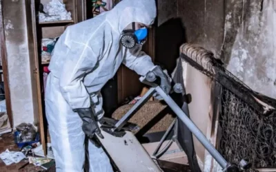 Intervention après incendie dans les Vosges : intervention pour les bâtiments touchés en milieu rural